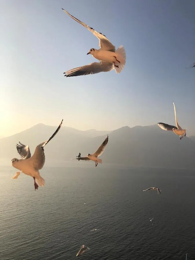 Residenza Di Prestigio In Riva Al Lago Marone Loft