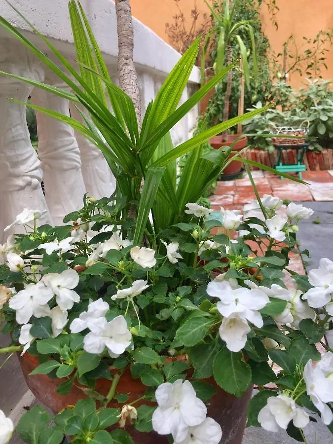Residenza Di Prestigio In Riva Al Lago Marone Loft Ferienhaus